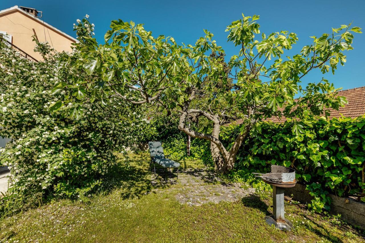 Green Garden Apartments Herceg Novi Extérieur photo