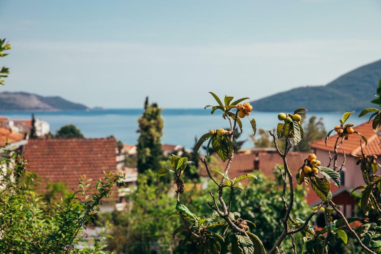 Green Garden Apartments Herceg Novi Extérieur photo